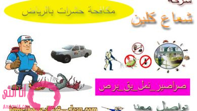 شركة مكافحة حشرات بالرياض