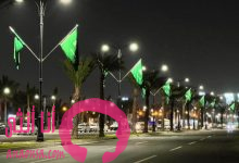 شركة مصنع عاطف عيسى وشريكه (APF)