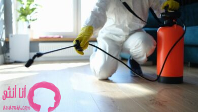شركة مكافحة حشرات بمكة المكرمة