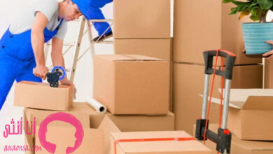 شركة نقل أثاث في المنصورة