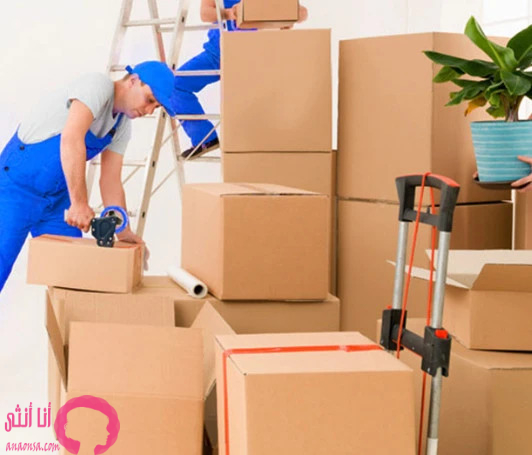 شركة نقل أثاث في المنصورة