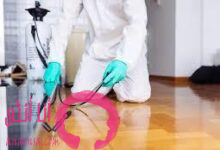 شركة مكافحة حشرات وتنظيف خزانات بحائل