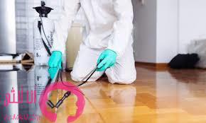 شركة مكافحة حشرات وتنظيف خزانات بحائل