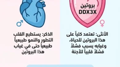 لماذا تنجو النساء من أمراض القلب أكثر من الرجال
