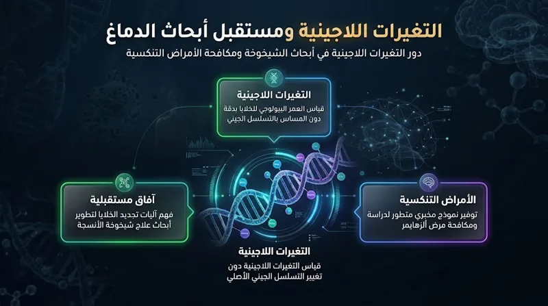 معجزة علمية في أبحاث الشيخوخة: علماء ينجحون في إعادة خلايا متبرع مسن إلى شباب عمره 20 عاماً! - تفاصيل إضافية